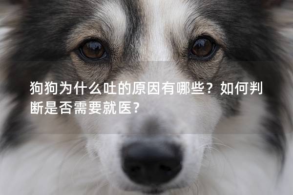 狗狗为什么吐的原因有哪些？如何判断是否需要就医？