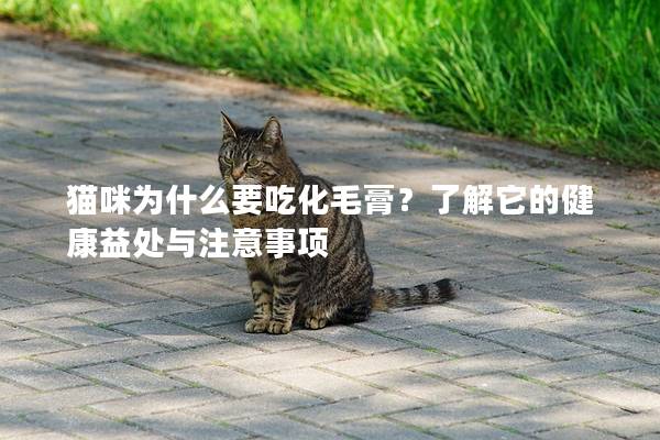 猫咪为什么要吃化毛膏？了解它的健康益处与注意事项