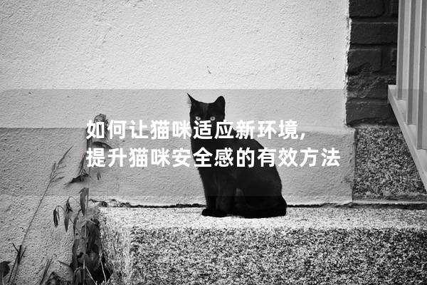 如何让猫咪适应新环境, 提升猫咪安全感的有效方法