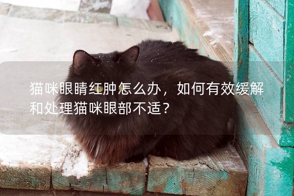 猫咪眼睛红肿怎么办，如何有效缓解和处理猫咪眼部不适？