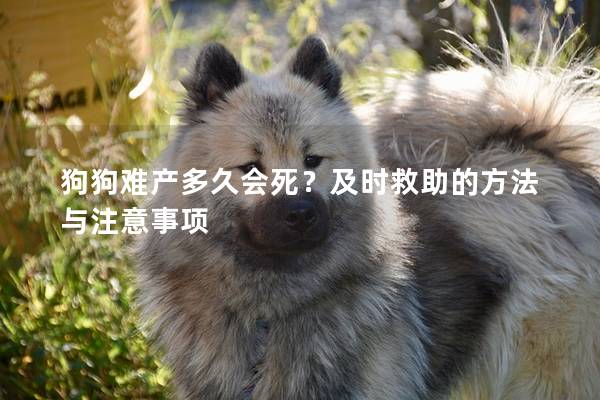 狗狗难产多久会死？及时救助的方法与注意事项