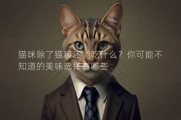 猫咪除了猫粮还能吃什么？你可能不知道的美味选择有哪些