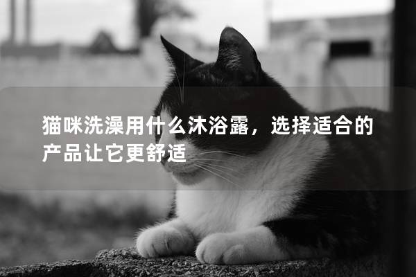 猫咪洗澡用什么沐浴露，选择适合的产品让它更舒适