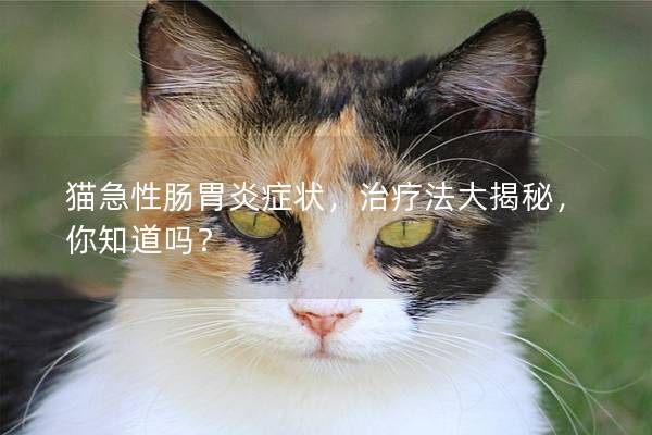 猫急性肠胃炎症状，治疗法大揭秘，你知道吗？