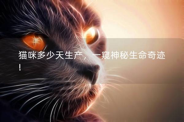 猫咪多少天生产，一窥神秘生命奇迹!