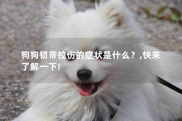 狗狗韧带拉伤的症状是什么？,快来了解一下!