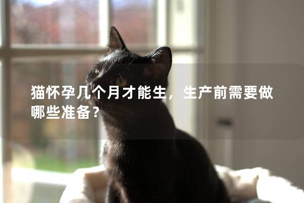 猫怀孕几个月才能生，生产前需要做哪些准备？