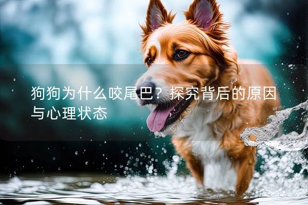 狗狗为什么咬尾巴？探究背后的原因与心理状态