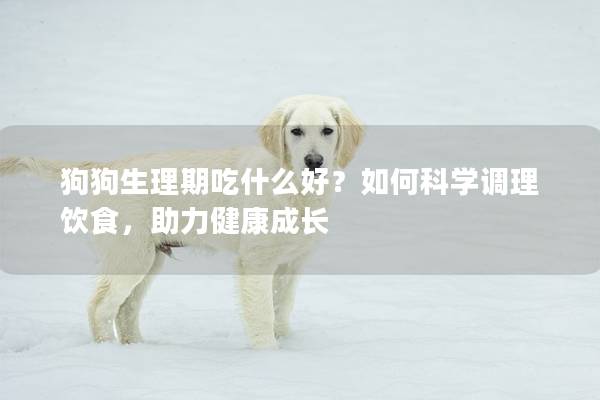 狗狗生理期吃什么好？如何科学调理饮食，助力健康成长