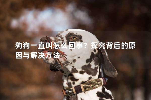 狗狗一直叫怎么回事？探究背后的原因与解决方法