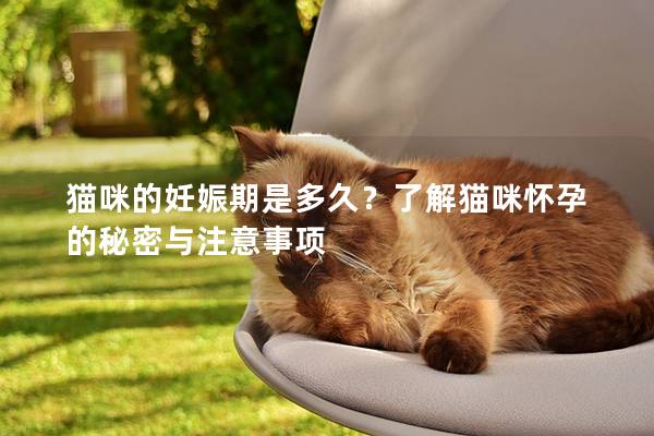 猫咪的妊娠期是多久？了解猫咪怀孕的秘密与注意事项