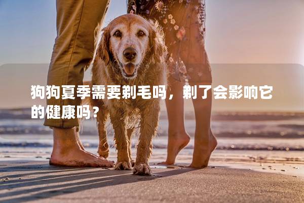 狗狗夏季需要剃毛吗，剃了会影响它的健康吗？