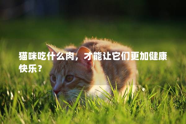 猫咪吃什么肉，才能让它们更加健康快乐？