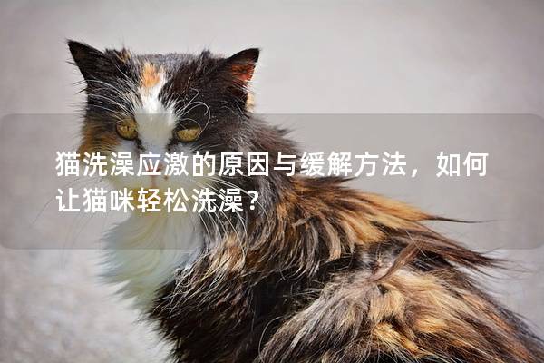 猫洗澡应激的原因与缓解方法，如何让猫咪轻松洗澡？