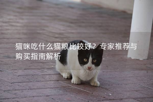 猫咪吃什么猫粮比较好？专家推荐与购买指南解析