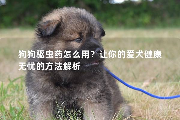 狗狗驱虫药怎么用？让你的爱犬健康无忧的方法解析