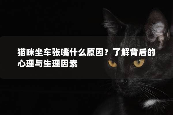 猫咪坐车张嘴什么原因？了解背后的心理与生理因素