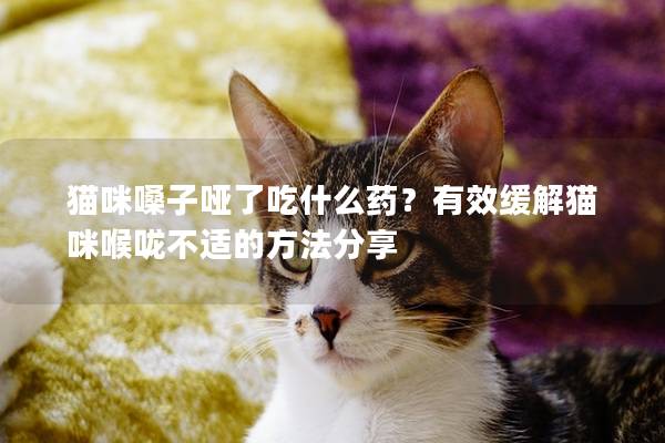 猫咪嗓子哑了吃什么药？有效缓解猫咪喉咙不适的方法分享