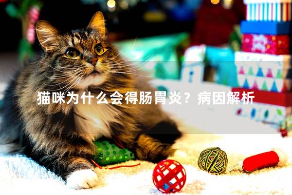 猫咪为什么会得肠胃炎？病因解析