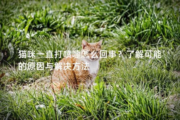 猫咪一直打喷嚏怎么回事？了解可能的原因与解决方法