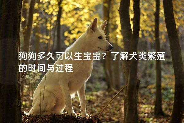 狗狗多久可以生宝宝？了解犬类繁殖的时间与过程