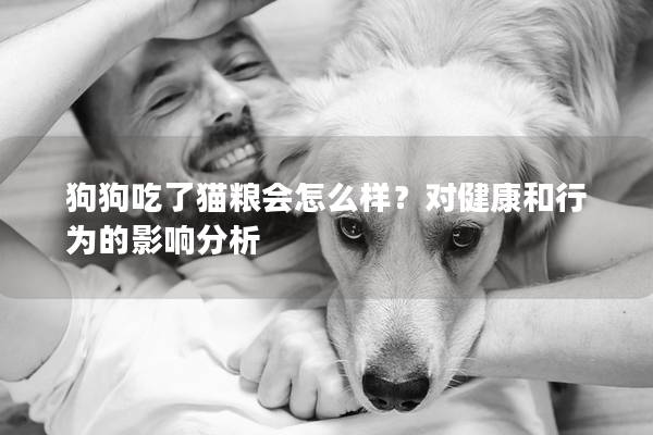 狗狗吃了猫粮会怎么样？对健康和行为的影响分析