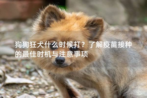 狗狗狂犬什么时候打？了解疫苗接种的最佳时机与注意事项