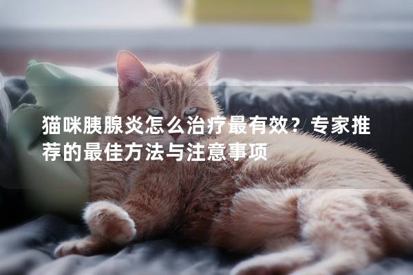 猫咪胰腺炎怎么治疗最有效？专家推荐的最佳方法与注意事项