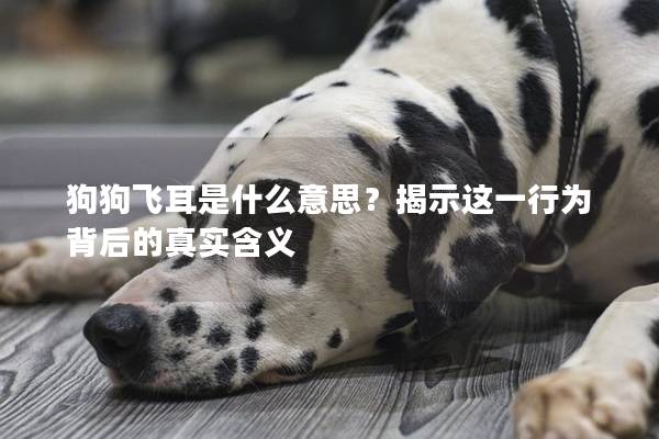 狗狗飞耳是什么意思？揭示这一行为背后的真实含义