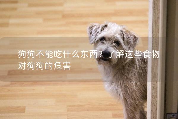 狗狗不能吃什么东西？了解这些食物对狗狗的危害