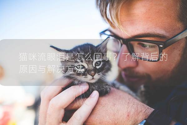 猫咪流眼泪是怎么回事？了解背后的原因与解决方法