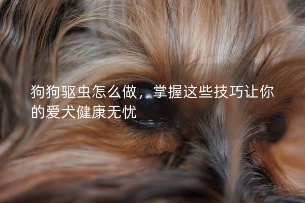 狗狗驱虫怎么做，掌握这些技巧让你的爱犬健康无忧