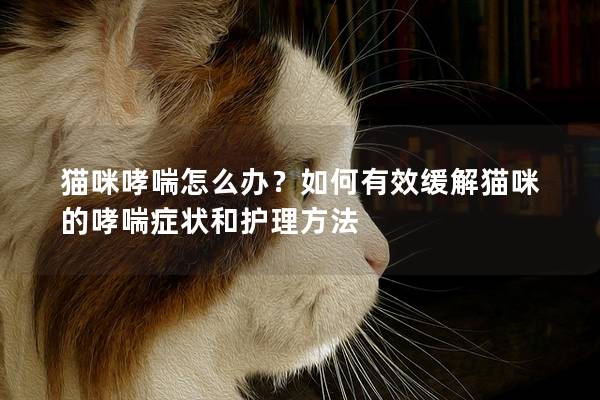 猫咪哮喘怎么办？如何有效缓解猫咪的哮喘症状和护理方法