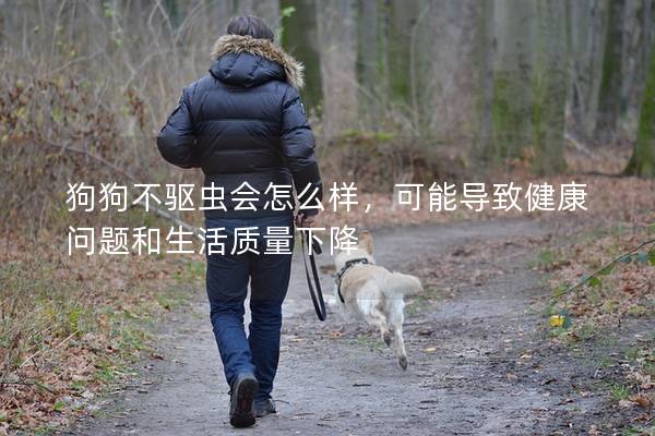 狗狗不驱虫会怎么样，可能导致健康问题和生活质量下降