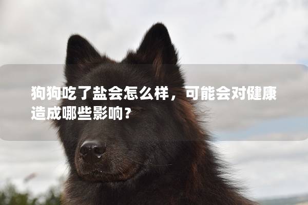 狗狗吃了盐会怎么样，可能会对健康造成哪些影响？