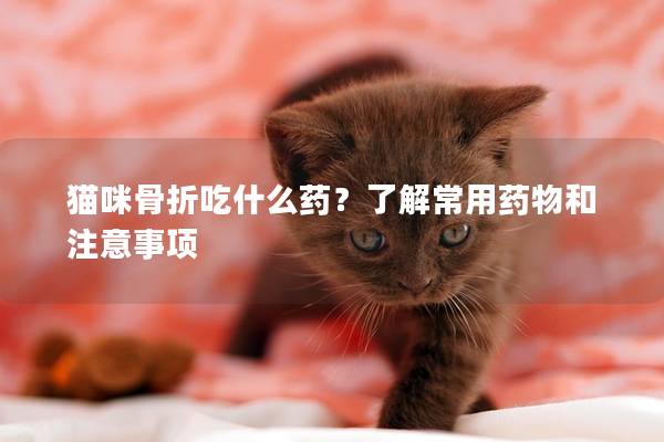 猫咪骨折吃什么药？了解常用药物和注意事项