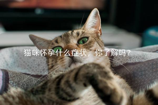 猫咪怀孕什么症状，你了解吗？