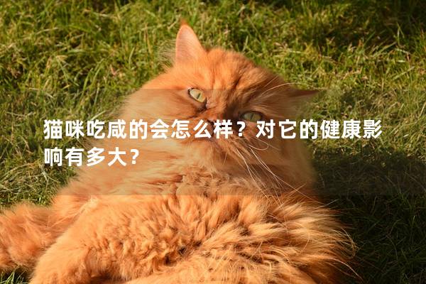 猫咪吃咸的会怎么样？对它的健康影响有多大？