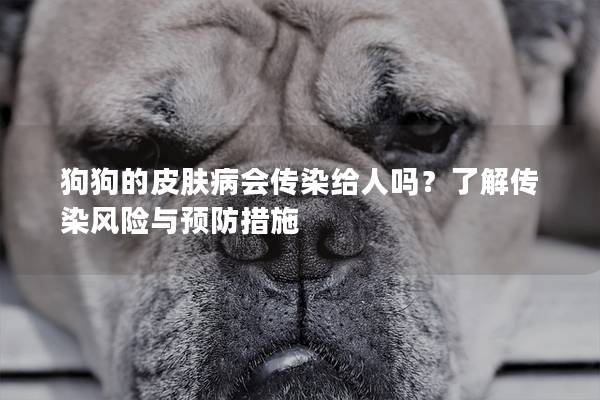 狗狗的皮肤病会传染给人吗？了解传染风险与预防措施