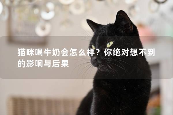 猫咪喝牛奶会怎么样？你绝对想不到的影响与后果