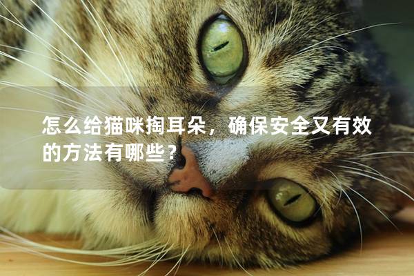 怎么给猫咪掏耳朵，确保安全又有效的方法有哪些？