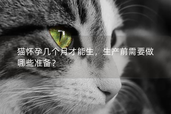 猫怀孕几个月才能生，生产前需要做哪些准备？