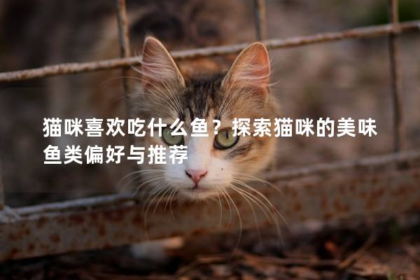 猫咪喜欢吃什么鱼？探索猫咪的美味鱼类偏好与推荐