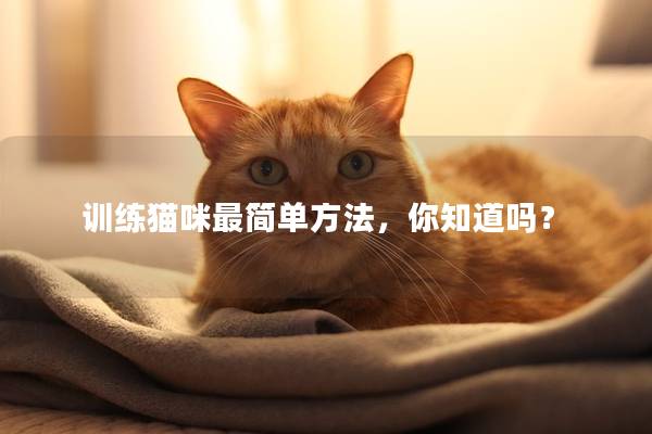 训练猫咪最简单方法，你知道吗？