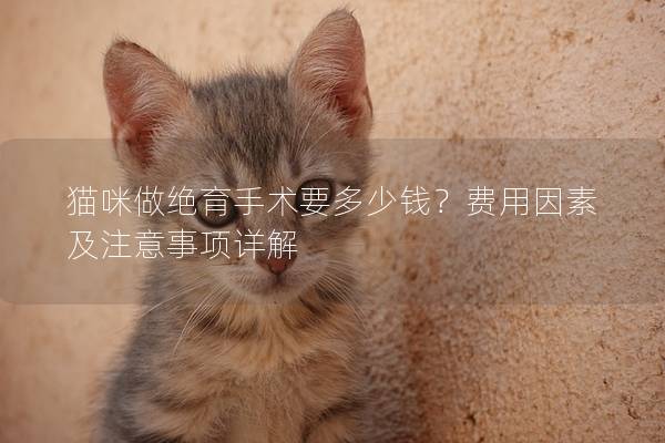 猫咪做绝育手术要多少钱？费用因素及注意事项详解