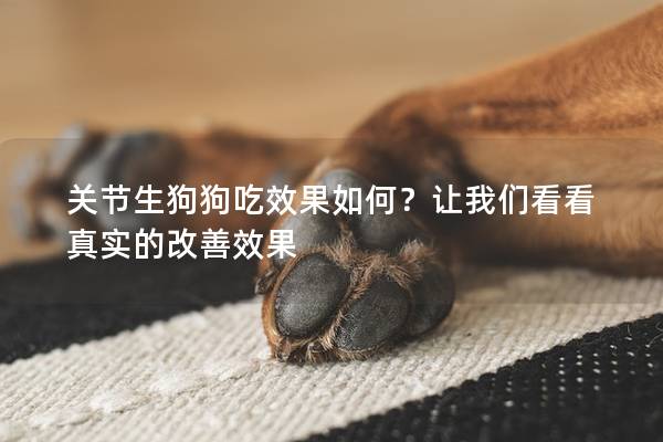 关节生狗狗吃效果如何？让我们看看真实的改善效果