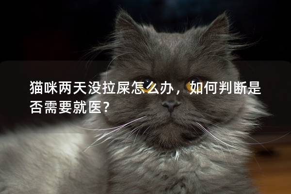 猫咪两天没拉屎怎么办，如何判断是否需要就医？