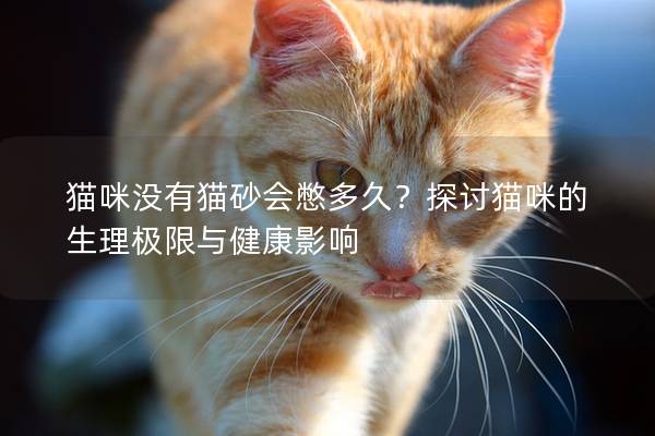 猫咪没有猫砂会憋多久？探讨猫咪的生理极限与健康影响