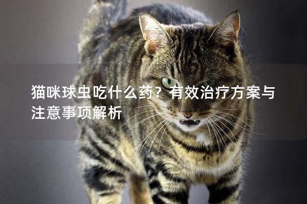 猫咪球虫吃什么药？有效治疗方案与注意事项解析