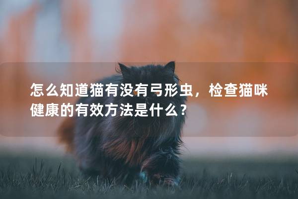 怎么知道猫有没有弓形虫，检查猫咪健康的有效方法是什么？